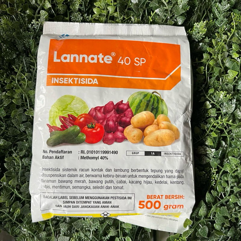 CORTEVA Lannate 40SP 500gr - Insektisida
