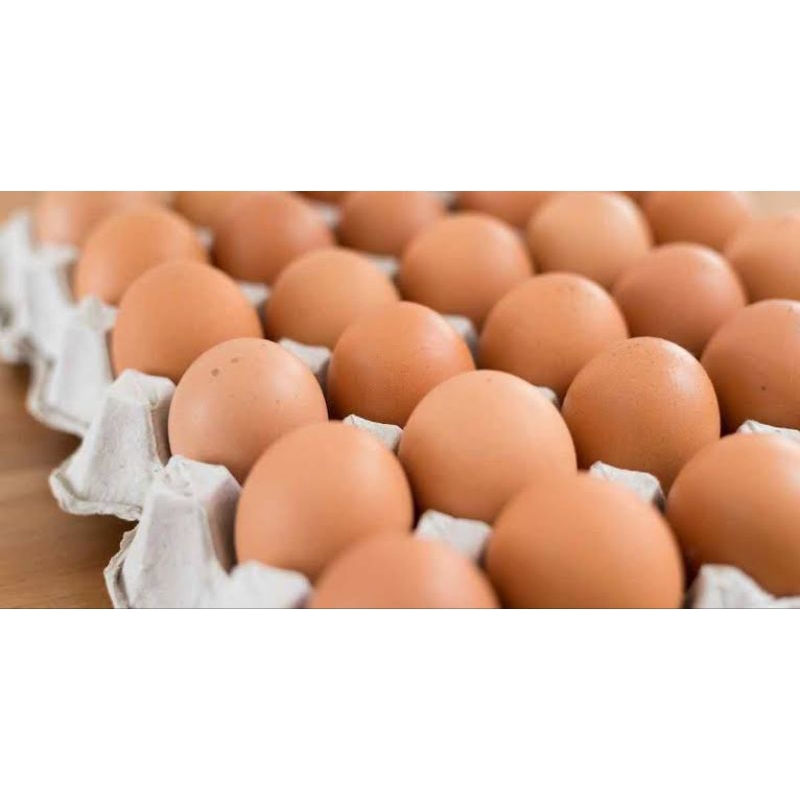 

telur omega