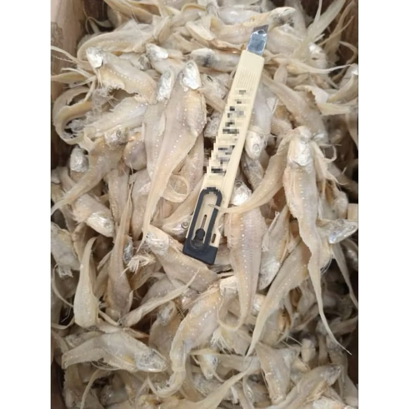 

ikan asin bulu ayam super premium