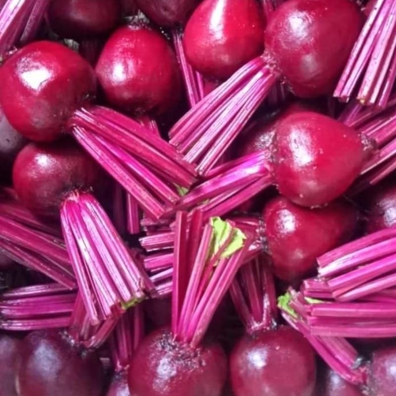 

Buah Bit organik 1kg freshh
