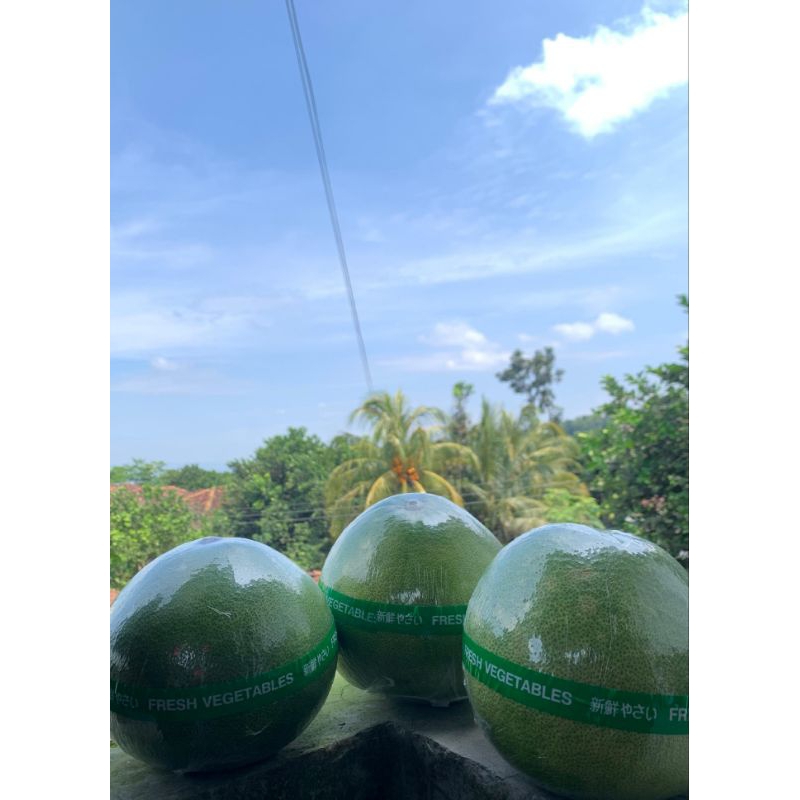 

Hemat (3 Buah) Jeruk Pamelo Manis dari Pati Lereng Muria