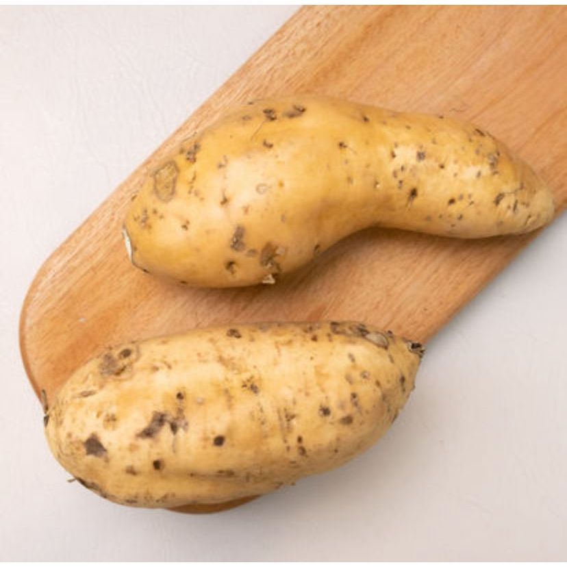 

Ubi Cilembu (1pcs) Manis Alami dengan Rasa yang Menggoda!