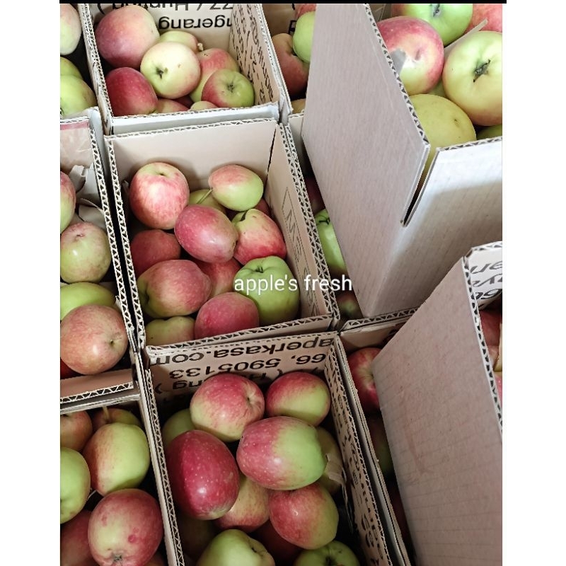 

Apel Ana mini 1kg fresh dari kota batu malang