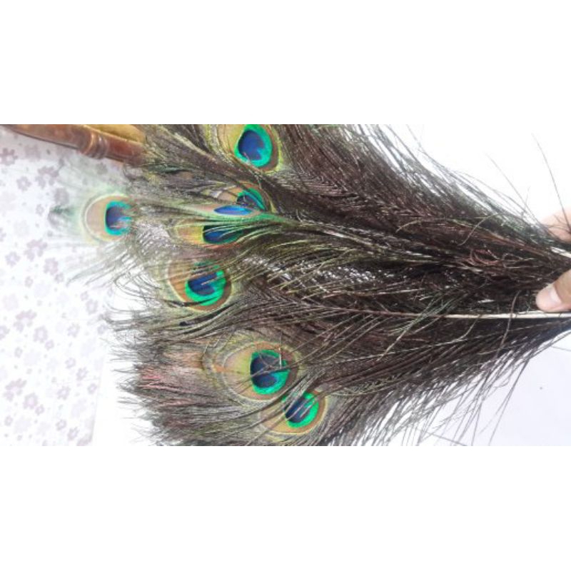 BULU MERAK SINTETIS 120-125CM