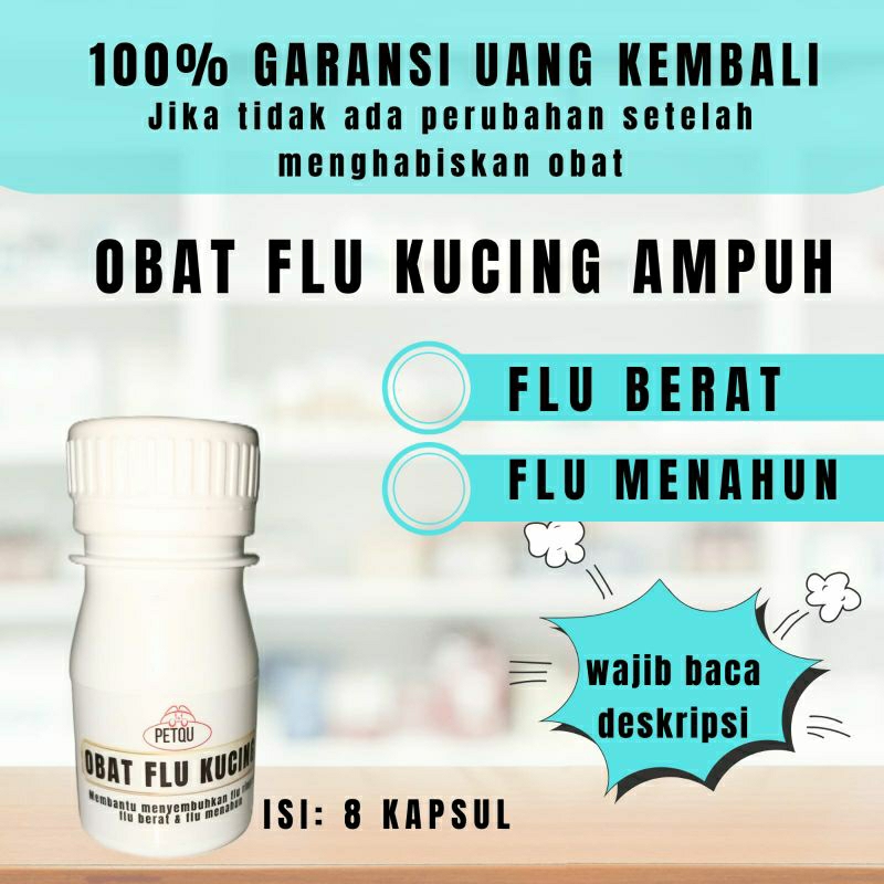 obat flu kucing/flu berat flu menahun dan ampuh