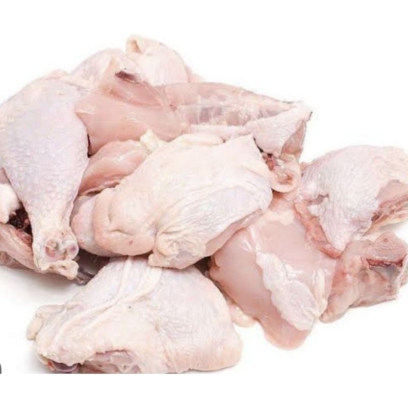 

ayam negri potong