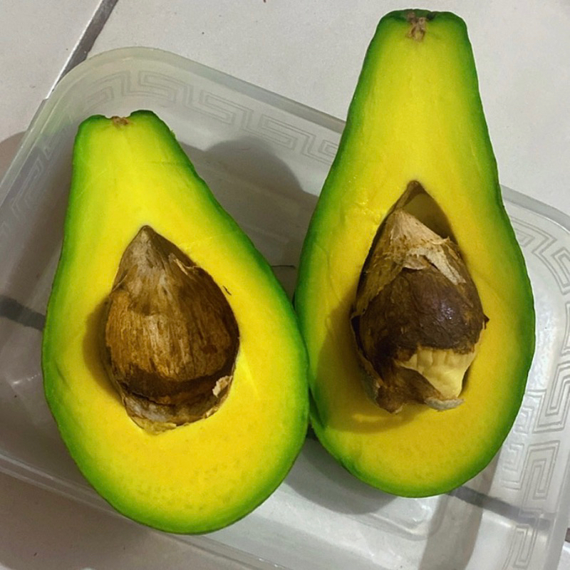 

Alpukat mentega Fresh dan Legit 1kg