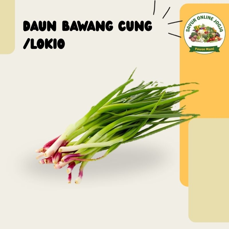 

Lokio daun bawang merah 50gr - PAWON MAMI SAYUR ONLINE JOGJA