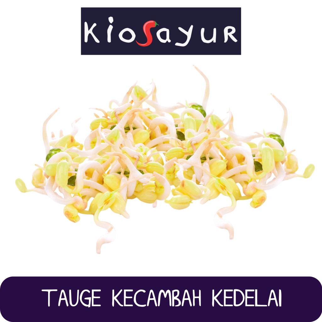 Tauge Kecambah Kedelai Kiosayur