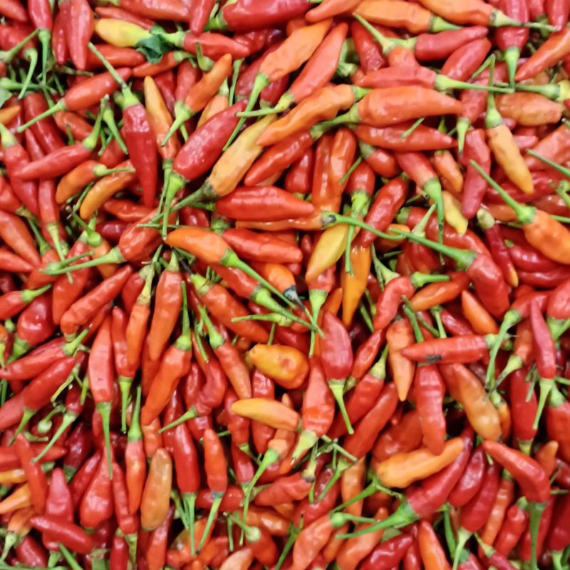

cabai rawit merah 250gr