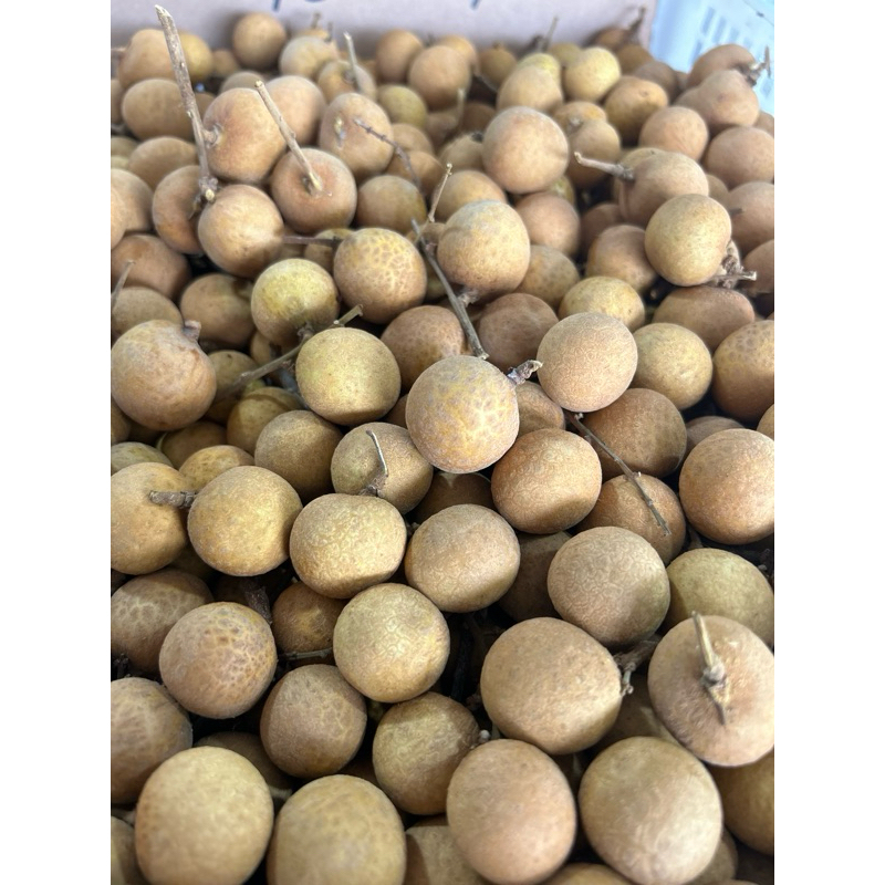 

Lengkeng Fresh 1 kg