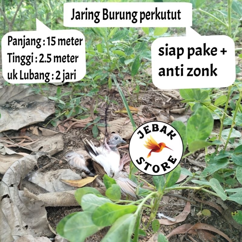 JARING BURUNG PERKUTUT JARING BURUNG KUTUT JARING BURUNG KUTUT JARING BURUNG BESAR JARING BURUNG 2 I