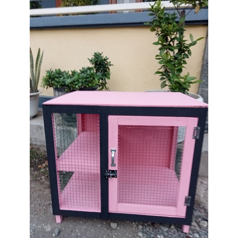 kandang kucing murah meriah
