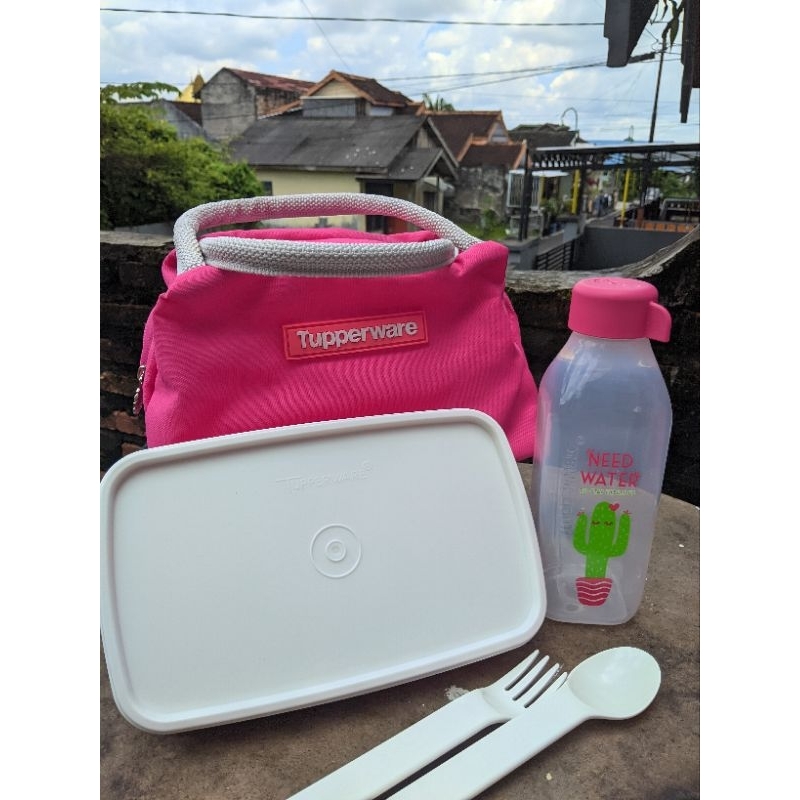 Tupperware Pink Fiesta Set