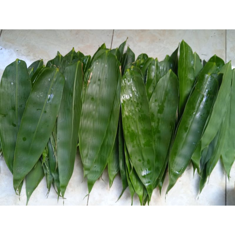 

Daun bambu apus/awi tali ukuran jumbo kualitas fress 100 Lembar