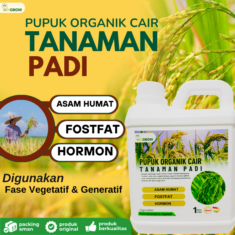 Pupuk padi sawah terbaik,Pupuk organik cair untuk tanaman padi,Pupuk padi sawah baru tanam