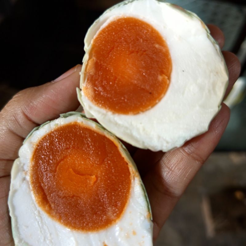 

Telur asin Masir Besar