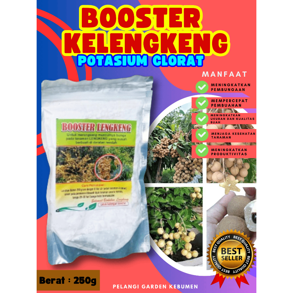 BEST SELLER  Pupuk Buah Kelengkeng Merah Cangkok Berbuah, Pupuk Buah Kelengkeng Matalada, Pupuk Buah