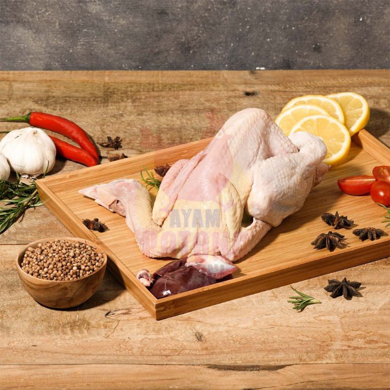 

Ayam Pejantan 1kg Hidup ( 1Ekor Termasuk Ati Ampela,Ceker,Kepala)