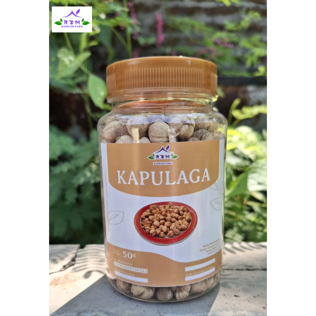 

Kapulaga Kering / Kualitas Bagus / Kapulaga Cardamom
