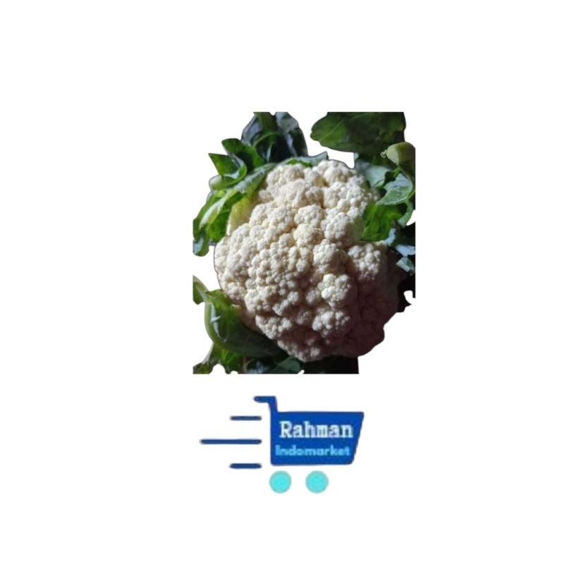 

SAYUR KEMBANG KOL/BUNGA KOL FRESH SEGAR BERAT 640GR