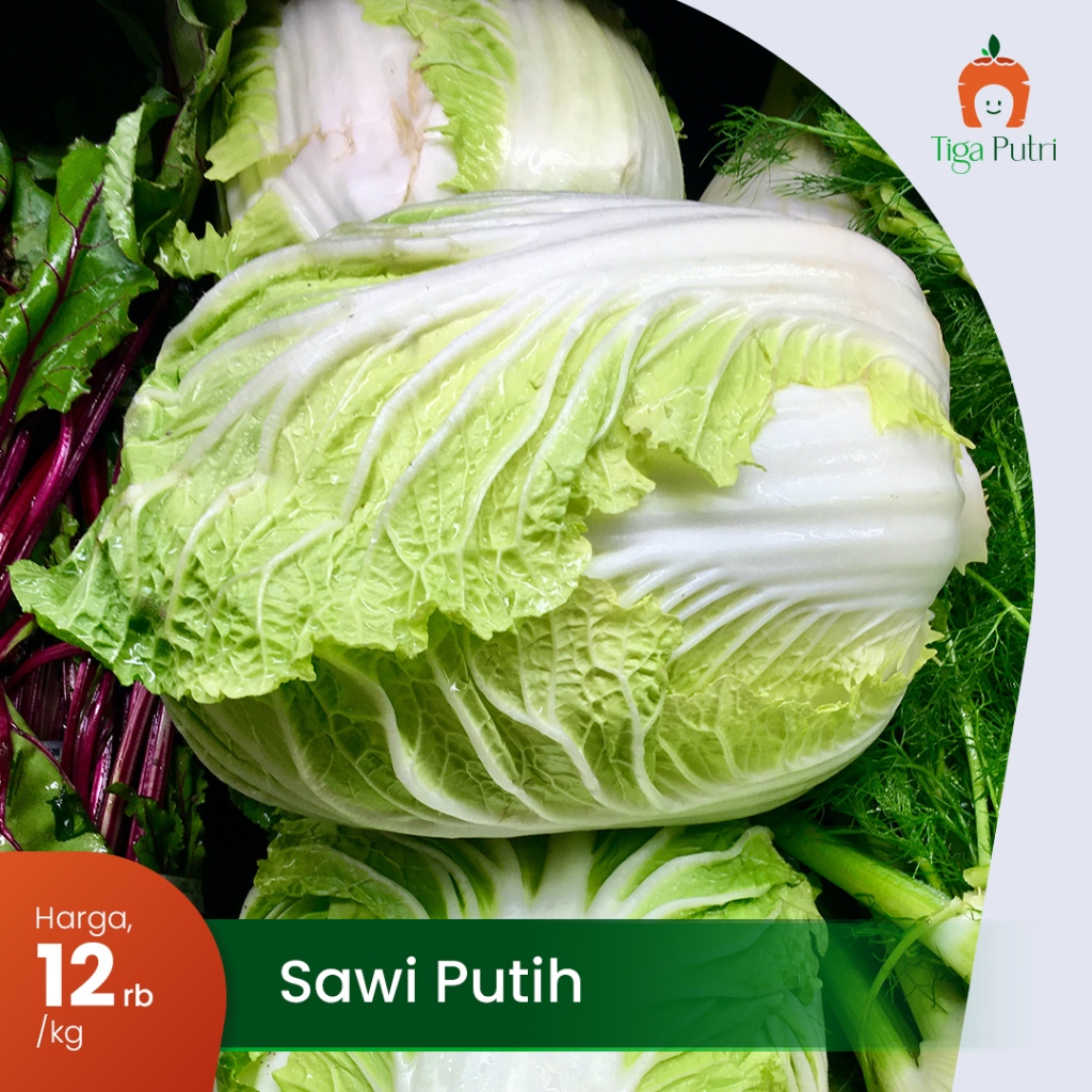 

Sawi Putih Fress Bersih & Alami