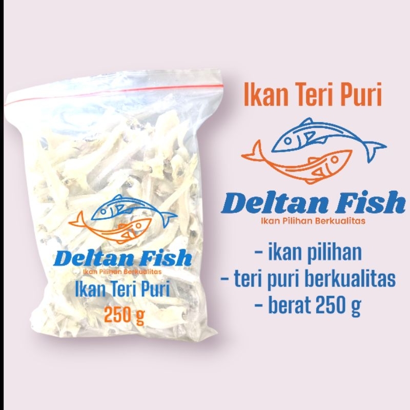 

Ikan Puri deltan fish golongan ikan teri ikanpuri, berkualitas hasil laut tanpa pengawet dan pewarna, ikan teri Puri termasuk ikan teri langkah, yang gak tiap saat ada