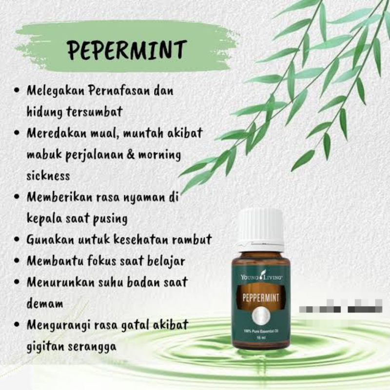 PEPPERMINT YL ESSENTIAL OIL YOUNG LIVING
