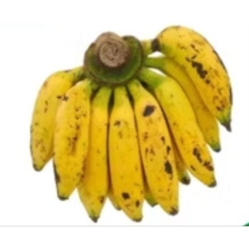 

pisang lilin