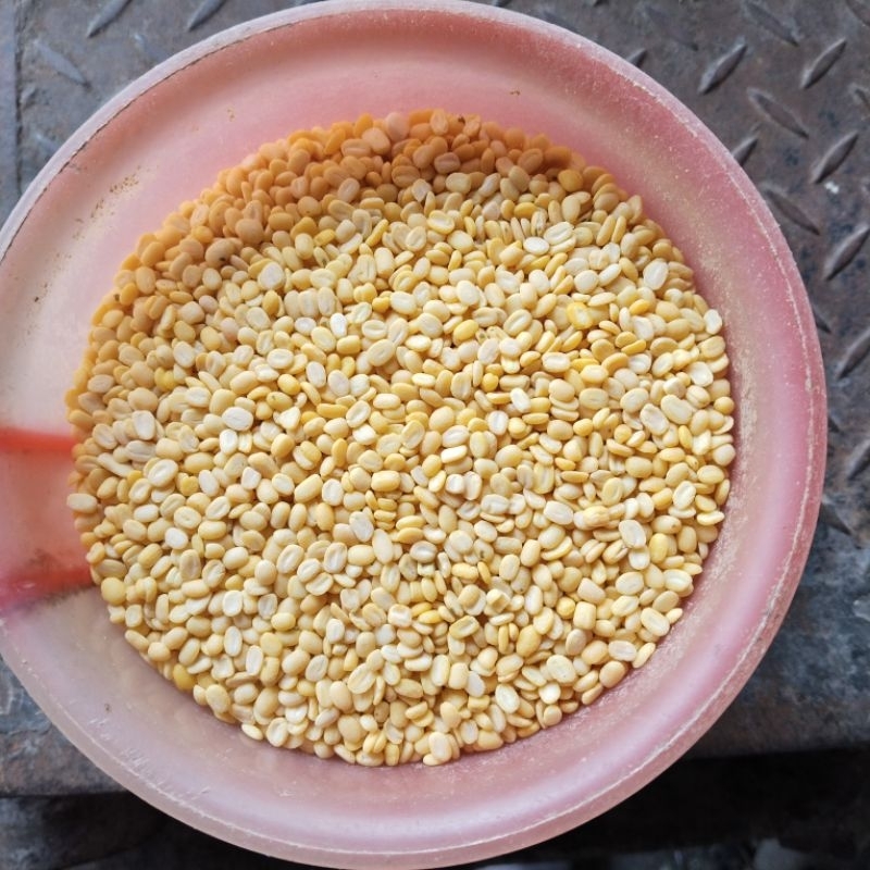 

KACANG HIJAU KUPAS