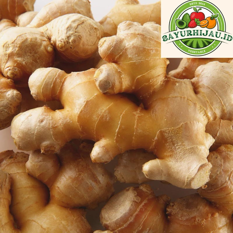 

Sayur Murah - Jahe 500gr MURAH