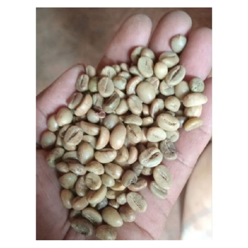 

KOPi ROBUSTA JNTAππ BUNGKUS DOP