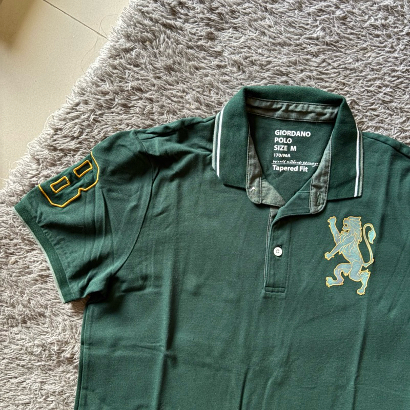 Giordano 3D Lion