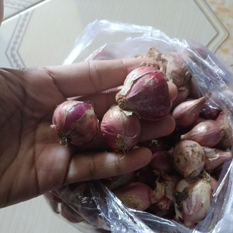 

bawang merah 1kg