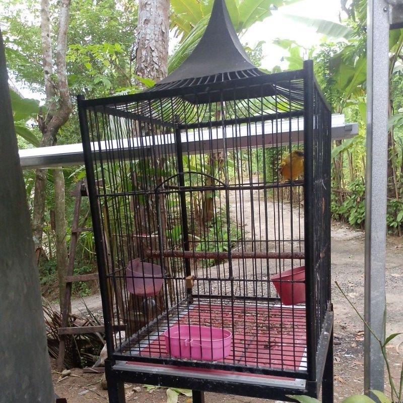 sangkar burung minimalis