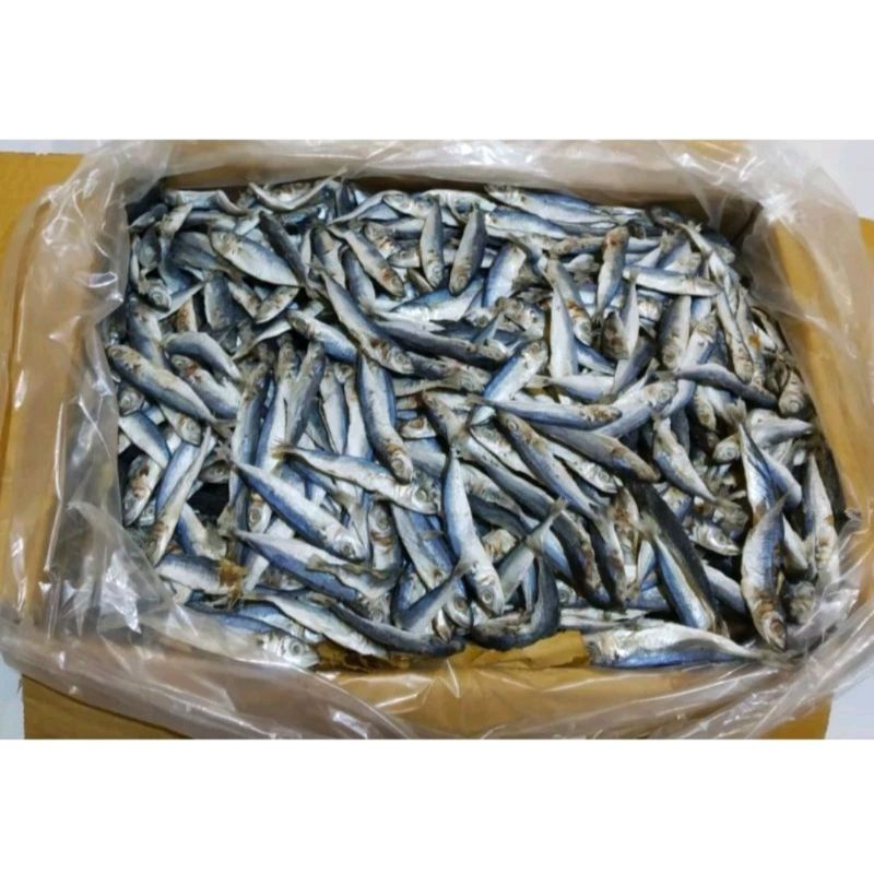 

Ikan Klotok Kecil 250gr Pengiriman Instan Siap Olah Untuk Lauk Pendamping Nasi dan Masakan Lezat