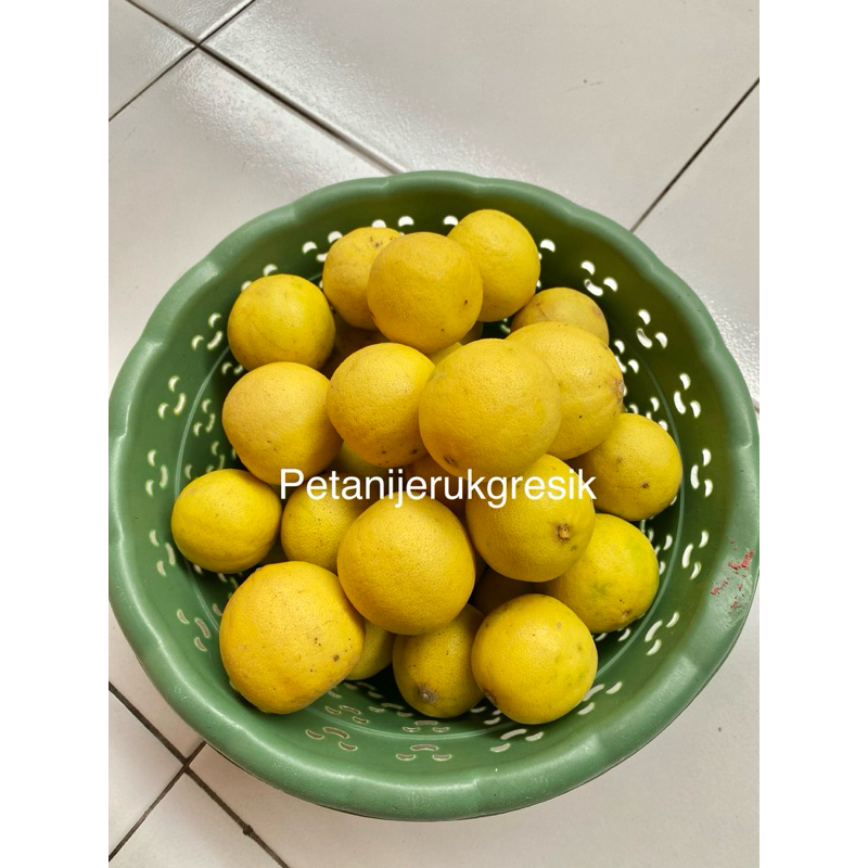 

jeruk nipis kuning 2kg lebih murah | banyak air | pengiriman hanya untuk wilayah Jatim! ( karna tdk tahan pengiriman jauh)