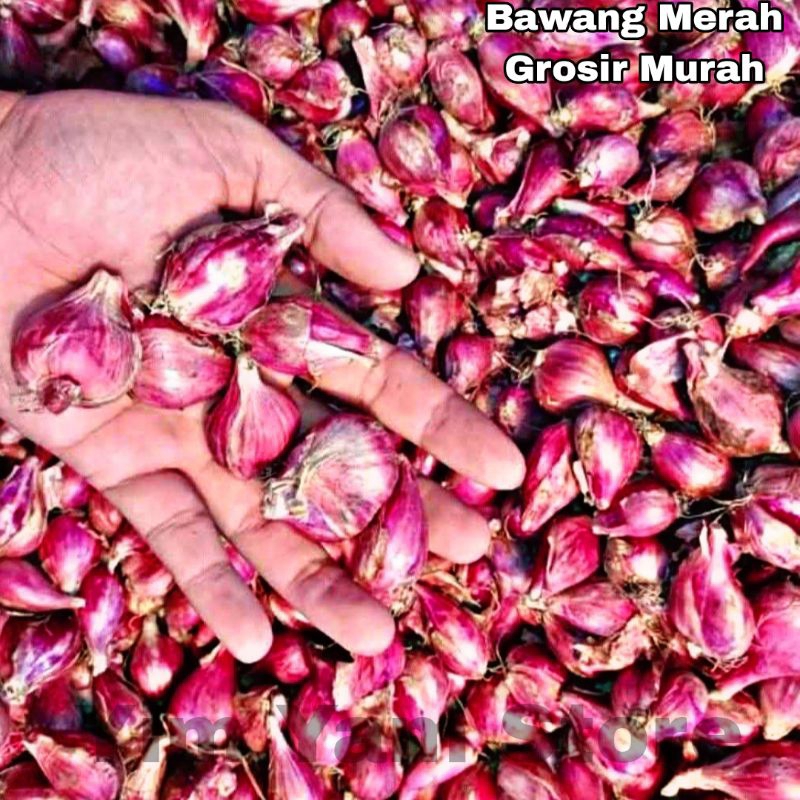

Bawang Merah Brebes segar grosir murah