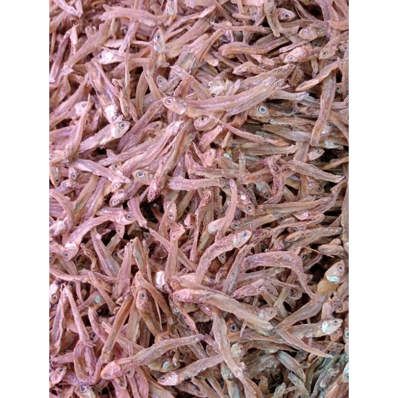 

Teri Tawar Hitam Sibolga