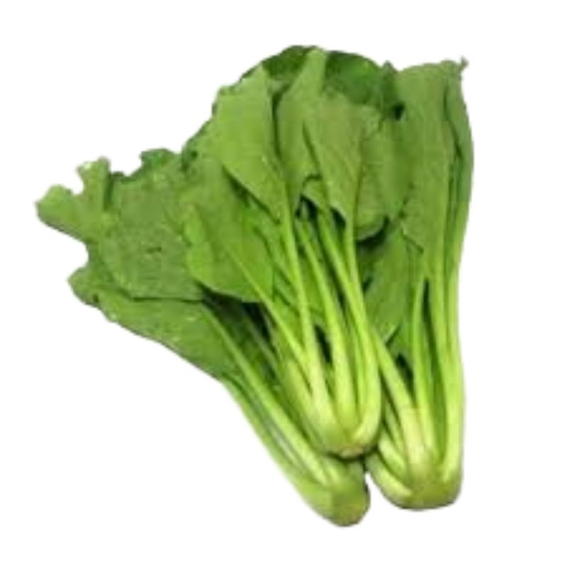 

Sayur Caisin Sosin Sausin Hijau 1 ikat