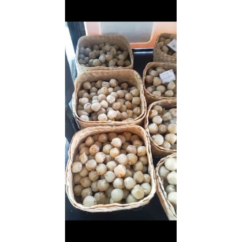 

Olos Khas Tegal
