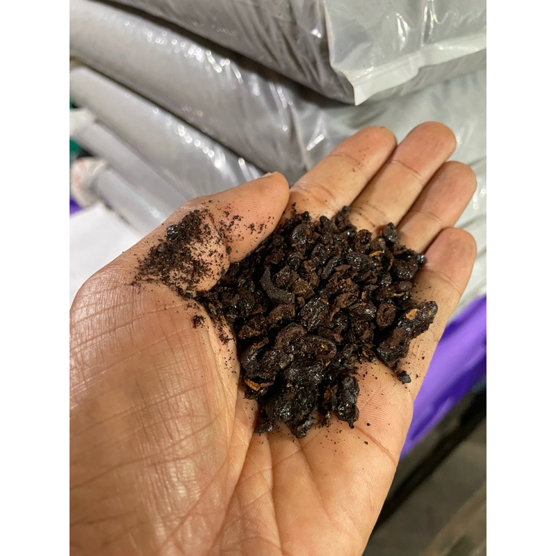 

Kopi Aceh asli kualitas no 1