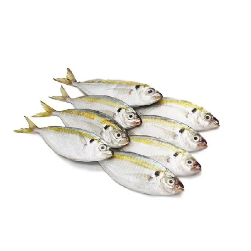 

ikan selar kuning