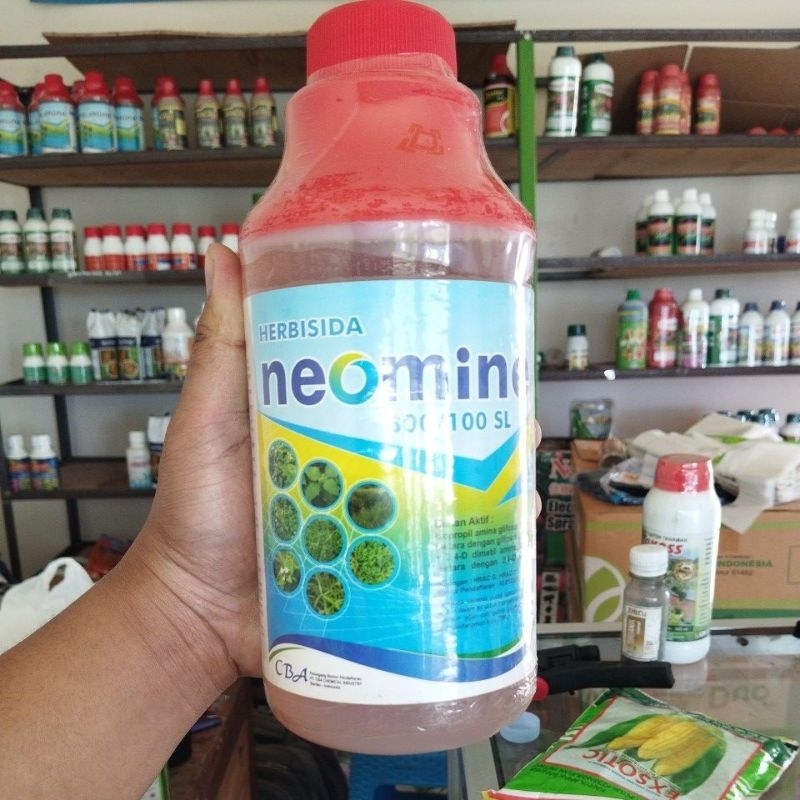 herbisida sistemik nomine / herbisida sistemik Sampek akar