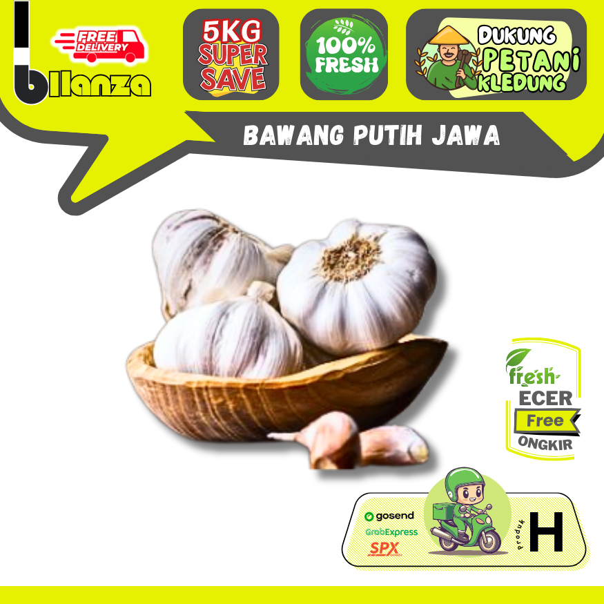 

Bllanza | Bawang Putih Kating Jawa ASLI Temanggung — GROSIR Lebih Murah (B)
