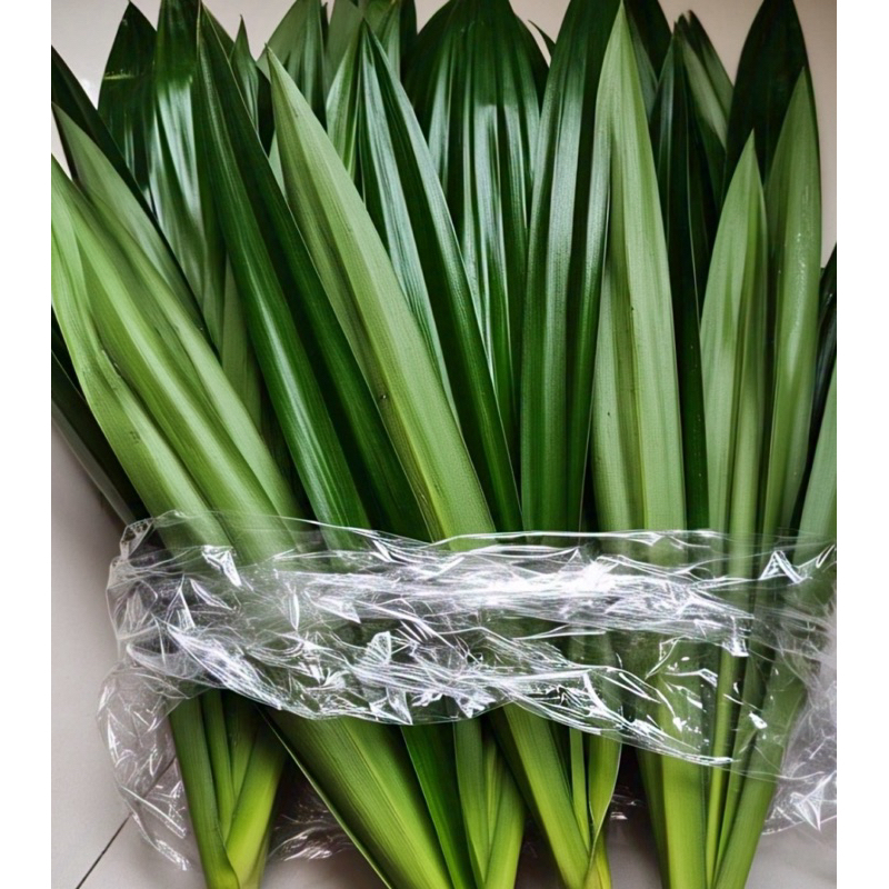 

Daun Pandan segar
