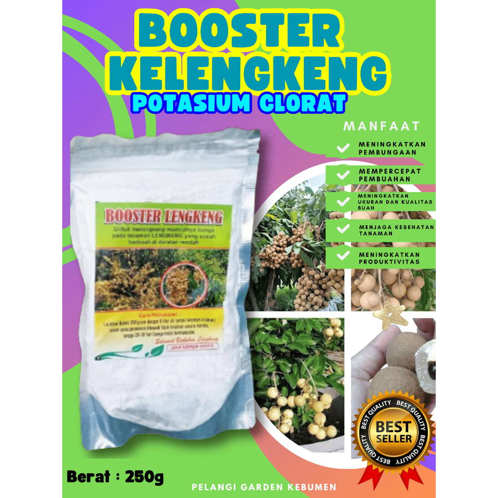 UNGGULAN  Booster Buah Kelengkeng Sudah Berbunga, Booster Buah Kelengkeng Siap Berbuah