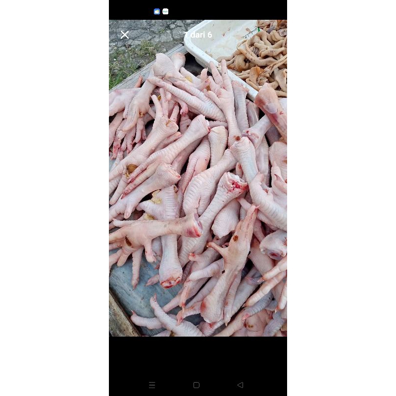 

ceker ayam