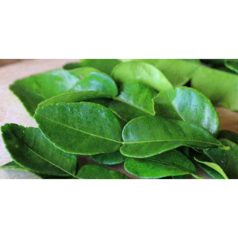 

DAUN JERUK PURUT/MASAK SEGAR 50gram