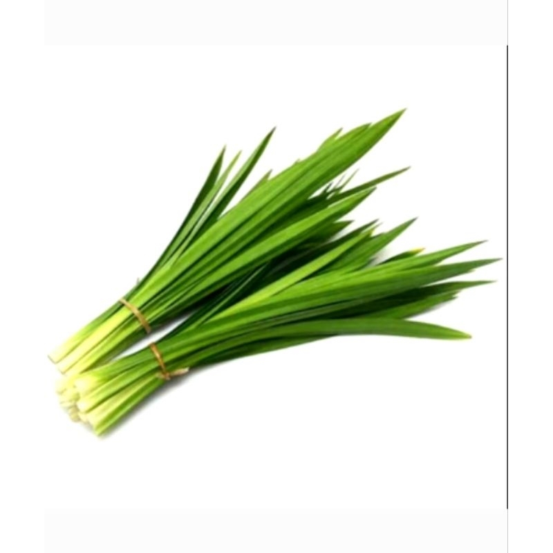 

Daun Pandan Wangi segar di petik saat ada orderan untuk Penyedap Masakan Dengan Daun Jumbo isi 10 lembar